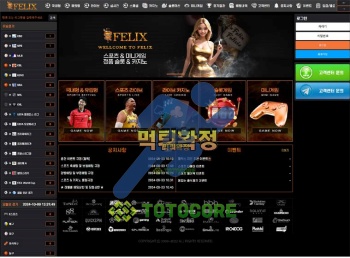 먹튀사이트 펠리스 먹튀검증